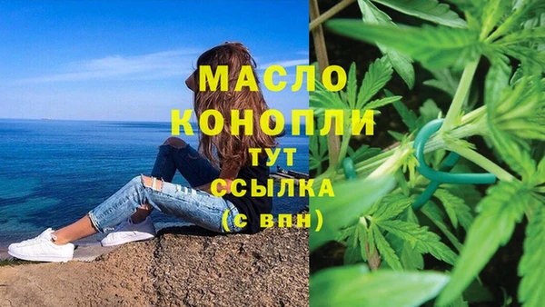 хмурый Ельня