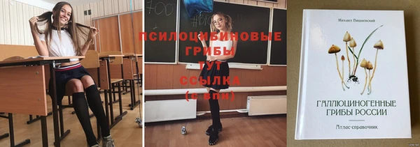 а пвп мука Елизово