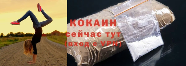 хмурый Ельня