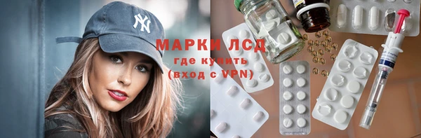 хмурый Ельня