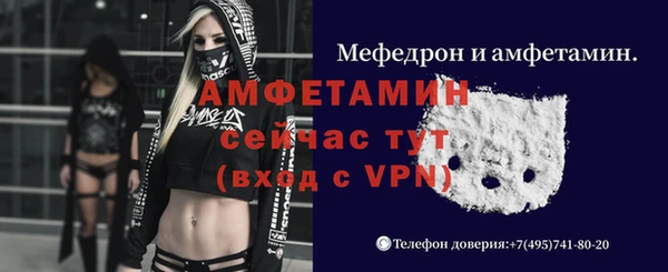 хмурый Ельня