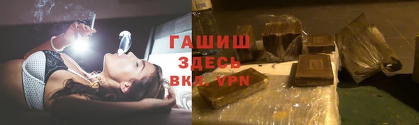 хмурый Ельня