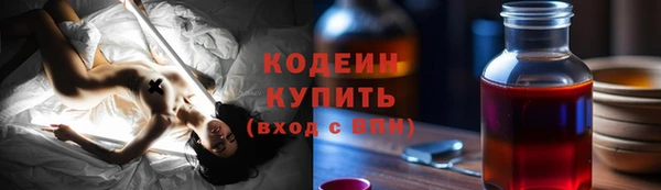 хмурый Ельня