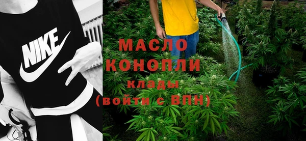 хмурый Ельня