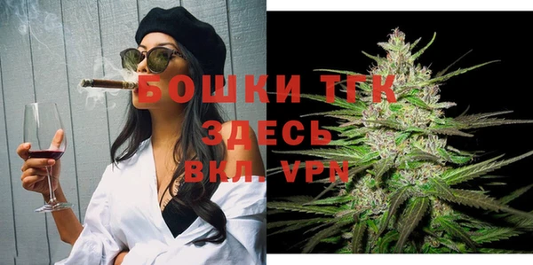 хмурый Ельня