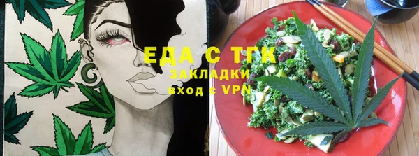 хмурый Ельня