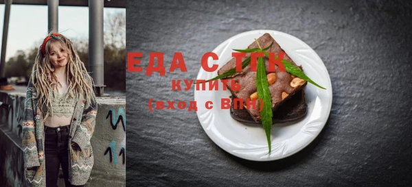хмурый Ельня
