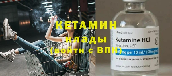 хмурый Ельня