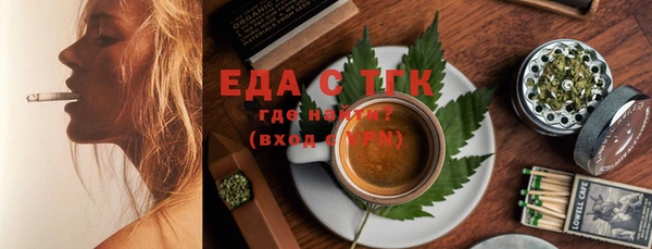 хмурый Ельня