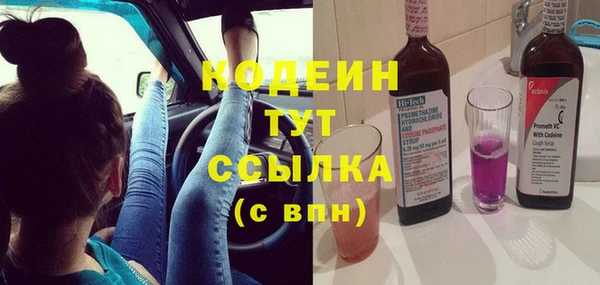 хмурый Ельня