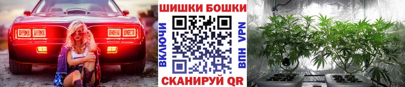 Каннабис ГИДРОПОН  продажа наркотиков  Жиздра 